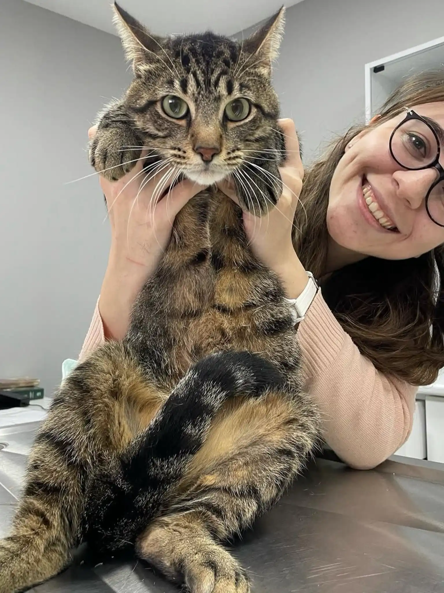 fip-hastaligi-tedavi-edilmis-kedi2