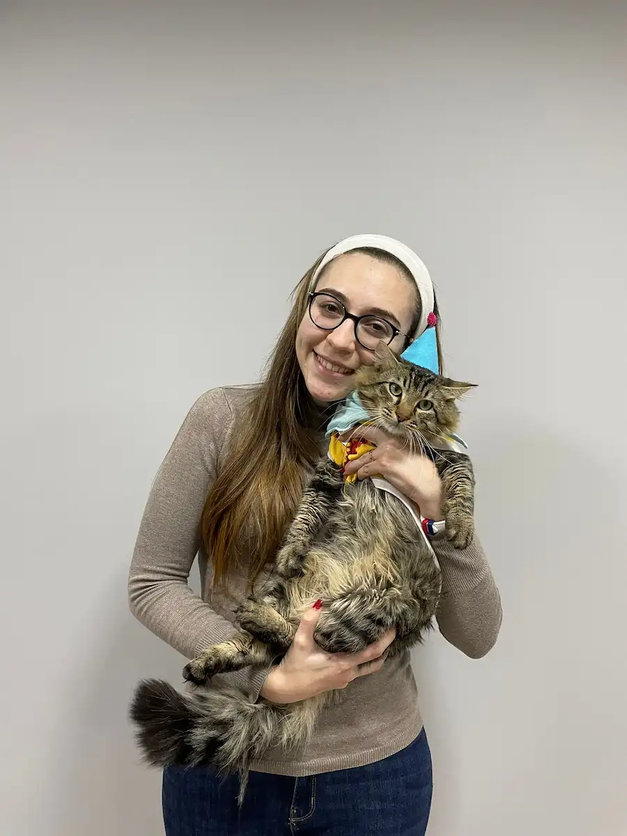 Fip Hastalığından Tedavi İle Kurtulmuş  Kedi