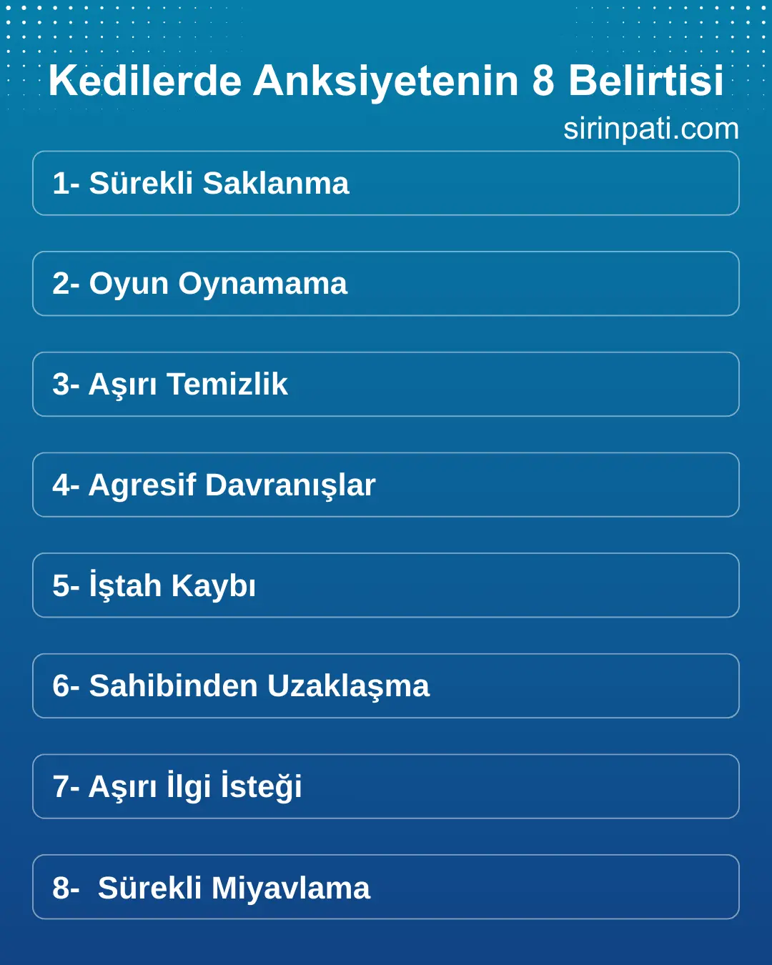 Kedilerde Anksiyetenin 8 Belirtisi - İnfografik